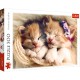 TREFL Puzzle Układanka 500 Elementów Premium Quality ŚPIĄCE KOTKI 37271