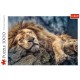 TREFL Puzzle Układanka 1000 Elementów Premium Quality ŚPIĄCY LEW 10447