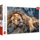 TREFL Puzzle Układanka 1000 Elementów Premium Quality ŚPIĄCY LEW 10447
