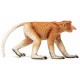 SCHLEICH Figurki Dzikich Zwierząt NOSACZ 14846